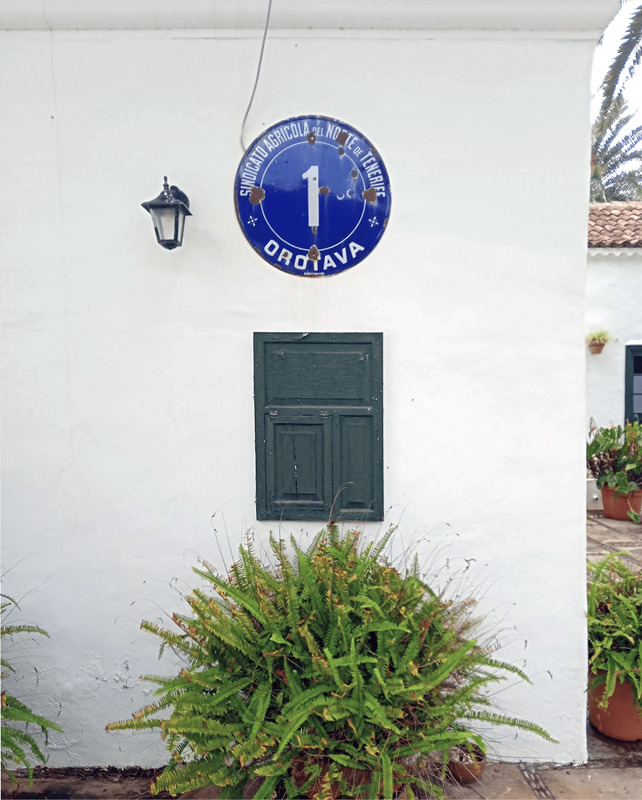 Sindicato Agrícola del Norte de Tenerife 1