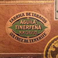Águila Tinerfeña