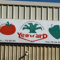 Cooperativa del Campo Yeoward