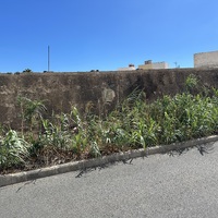 Instituto Nacional de Colonización