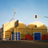 Comercial Importadora Exportadora Limitada (CIEL)